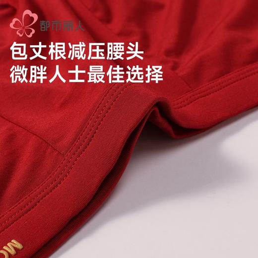 都市丽人内裤男士内裤40S人棉内裤氨纶头平角内裤男内裤FKHG06 商品图5