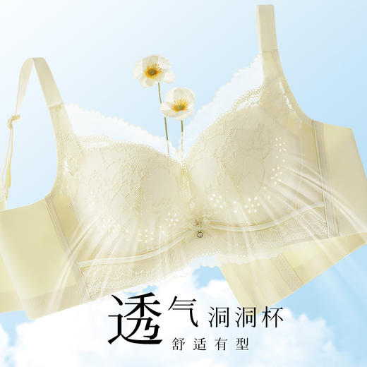 【轻薄透气洞洞杯】夏季内衣女舒适聚拢上托无钢圈高颜值性感文花谣浅月 商品图1
