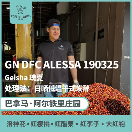 25产季 巴拿马 阿尔铁里 Altieri Specialty Coffee GN DFC ALESSA 190325 瑰夏 日晒低温干式发酵 （生豆）空运批次 商品图0