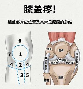 【课堂】徒步想膝盖不痛？让它自己产生润滑液！