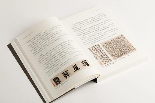 《白眼与诳语：读懂八大山人》（美）王方宇 著    朱良志 编 商品图6