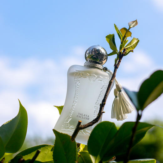 25年新香！玛丽之香 云柔谧语殿藏 Parfums de Marly Valaya Exclusif 分装 商品图1