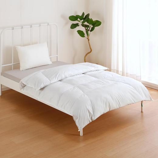 加厚羽绒被GDD93 商品图0