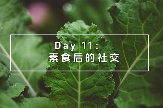 Day 11：素食后的社交 商品图0