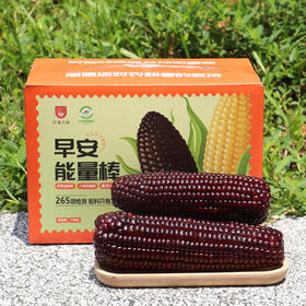 ⁴积分+29.9元/10根【山西黑珍珠糯玉米】颗粒饱满清甜软糯 200g/根 YC04-CRMM-NDDS