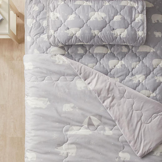 夏天凉感A类抗菌空调被薄被枕垫床垫冷感S2503 白熊 商品图1