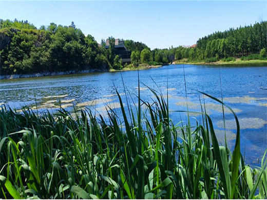 【雁栖湖环湖1日】晚出发·邂逅湖光山色-闯入京郊小瑞士-休闲徒步8-10公里 商品图3