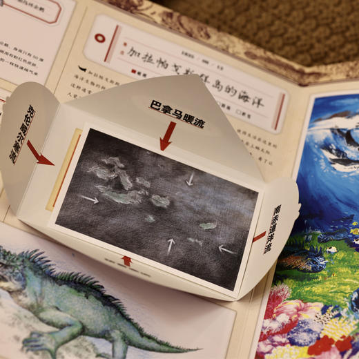《神秘日志·达尔文环球旅行记》精装一册 5-15岁 趣味故事、手工工艺、互动游戏、科普知识 53处新奇工艺65个动物科普知识 11种海洋知识 跟随达尔文来一场环球博物学大探险  一起发现大自然的秘密! 商品图3