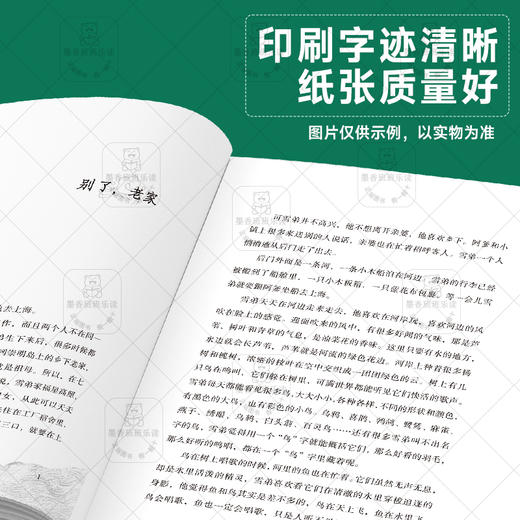 班班25秋六年级【单本】《向着大海最深处》《今天我是升旗手》《海底两万里》（上、下）《童年河》《走进鲁迅的世界》+导读单 商品图10