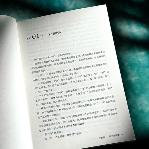 觉者为师 好教师成长之新境 大夏书系 任勇著 教师专业发展 商品图9