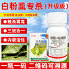 白粉虱专杀虫方案黄条跳甲杀虫杀卵农用杀虫剂呋虫胺联菊啶虫脒 商品缩略图1