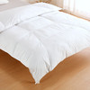 加厚羽绒被GDD93 商品缩略图3