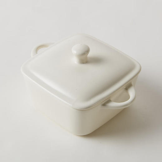 微波炉可用超轻量带盖双耳轻量烤盘 WG01 商品图4