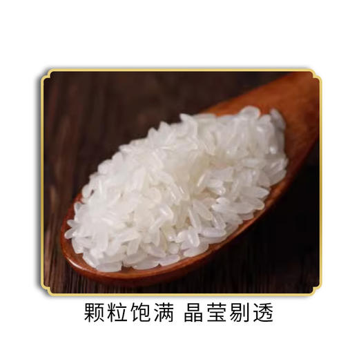 金色十月甄选五常大米5KG 商品图2