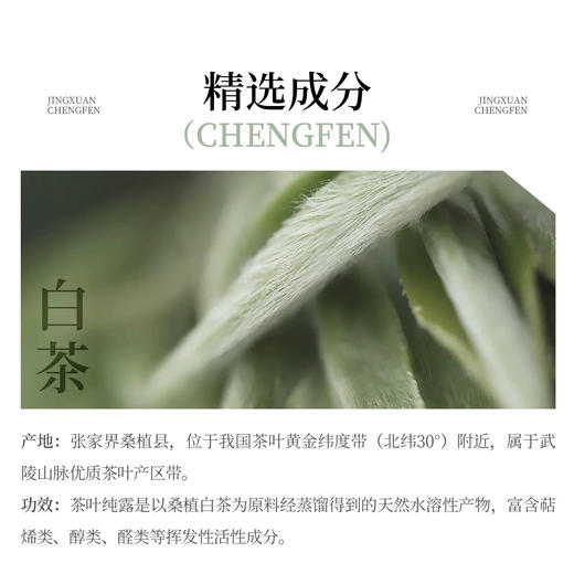 上新！茶树纯露 「单瓶」300ml 草本护肤 商品图3