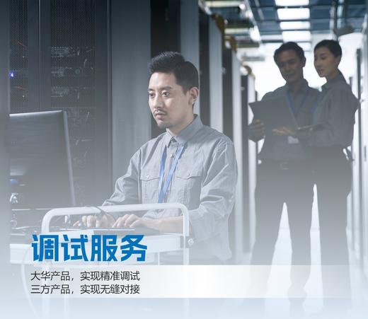 调试服务 商品图0