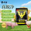 【社群专享】华畜真脱净600g 脱霉净复合酶降解多种毒素不破坏饲料营养 孕畜可用可兑水 商品缩略图0