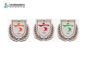 通版深圳第二实验学校织唛校徽礼服布标姓名贴章可缝烫现货现发51