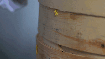 重大发现:早起空腹吃它.气死癌细胞.三高降了.血管通了.精神好了