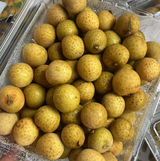 【泰国金龙眼/桂圆】精选盒装，清香鲜甜，汁水满溢，营养小精灵，肉肥核小 商品图5