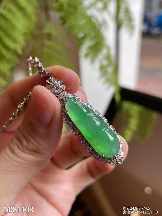 5081108，福豆吊坠。具体价格微信咨询 商品图0