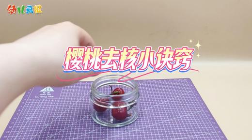 2025年7-8月 樱桃去核小诀窍 商品图0