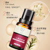 【298元3盒】西蔻三七靓颜精油20ml 商品缩略图1