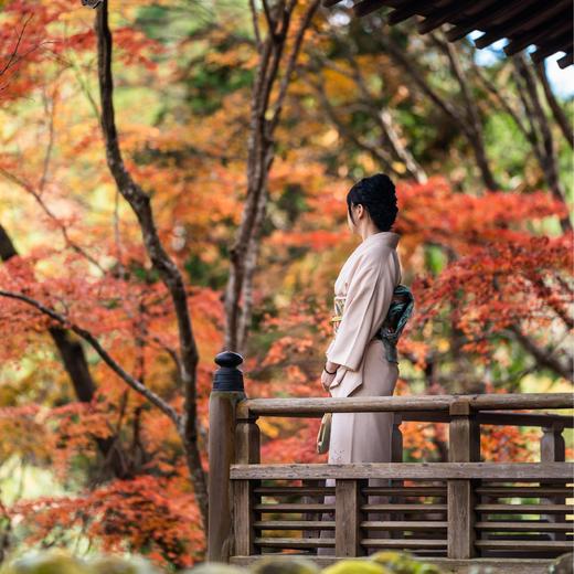 人文关西 | 秋日红叶季，寻迹日本文化的前世今生 7天6晚 商品图7