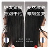 初心| 蓬蓬梳猪鬃榉木 商品缩略图2