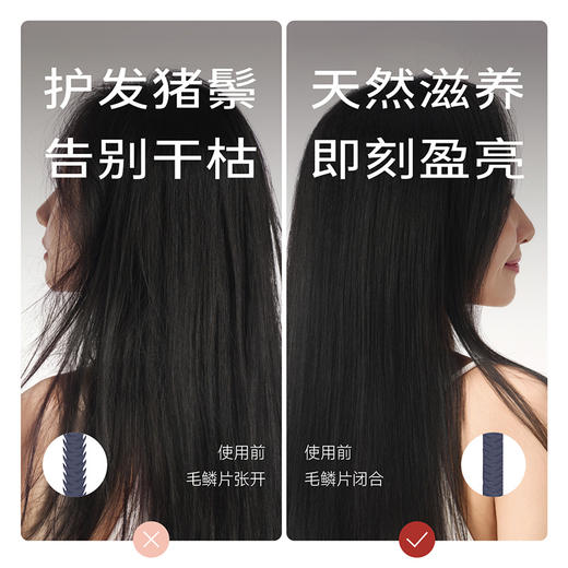 初心| 蓬蓬梳猪鬃榉木 商品图2