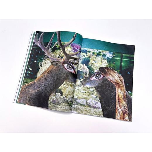 创意拼贴艺术 商品图4