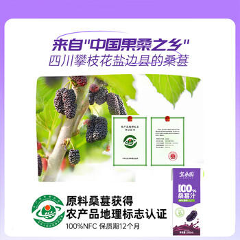宝桑园100%桑葚汁200ml*6盒便携装饮料健康纯果蔬汁 NFC桑椹汁 /水饮冲调 /饮料 /果蔬汁/饮料 商品图2
