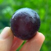 丁庄巨峰葡萄|丁庄的巨峰葡萄🍇果肉软嫩、汁水丰盈，吃起来甜而不腻，有种最原始的果香味😍放在冰箱里冷藏一下再吃风味更清透，我最喜欢吃这个葡萄😋 商品缩略图1