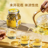 京东京造鲜来多 杭白菊花茶胎菊100g量贩装京东自营桐乡清花草茶养生茶 /水饮冲调 /代用茶/花草茶/养生茶 /花草/草木茶 商品缩略图7