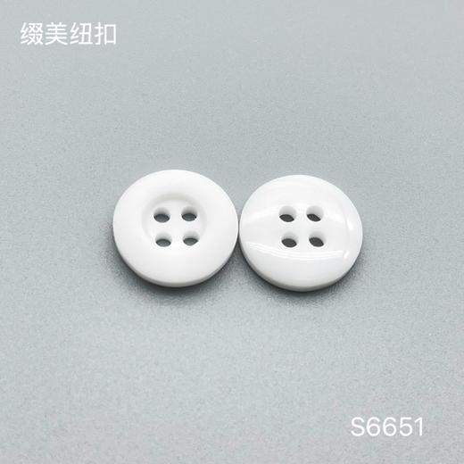 S6651(整包购买) 商品图0