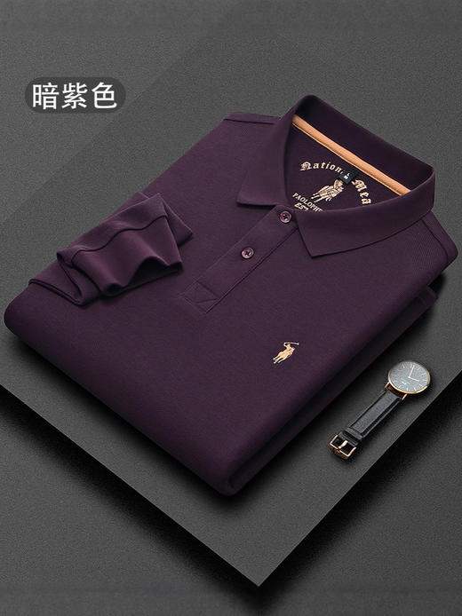 秋季上新！【260g新疆长绒棉！双珠地网眼面料~】派森龙秋冬纯棉 双面珠地男士POLO衫 长袖翻领长绒棉 保罗刺绣男POLO上衣-QB 商品图2