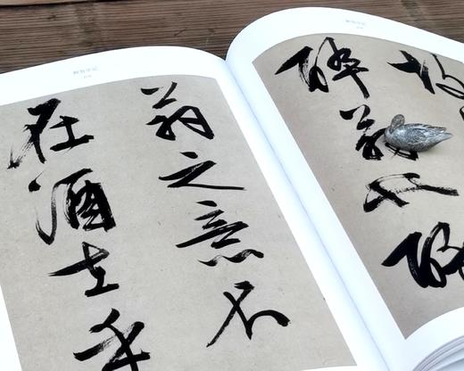 《文徵明名笔》，布脊精装，8开，文徵明著，上海辞书出版社2020年一版，定价480，售价168元。 商品图5