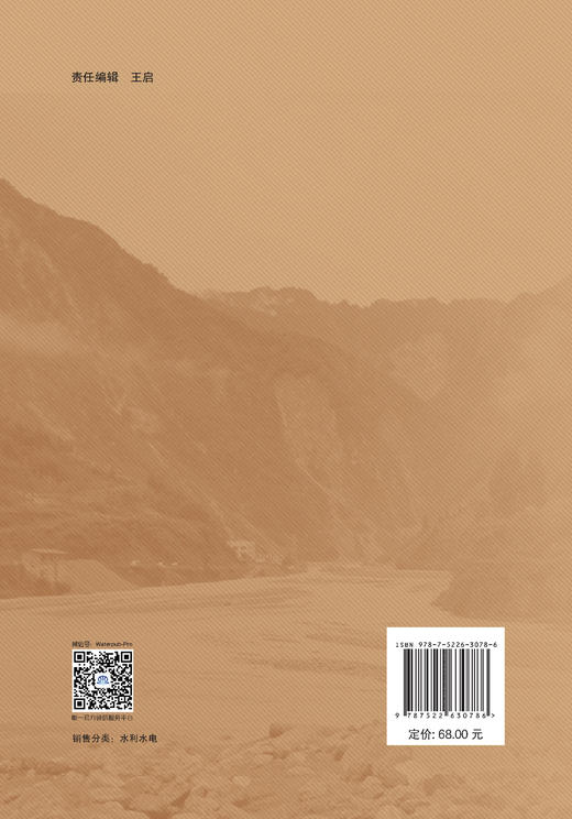 沟道型泥石流的动力机制及数值模拟 商品图1