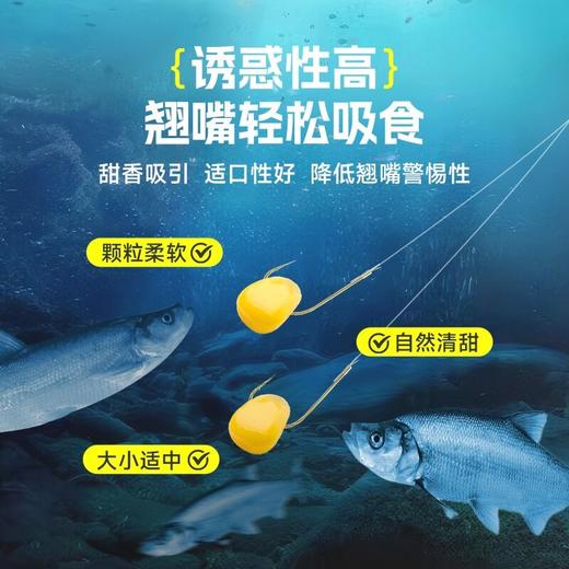 佳钓尼生鲜嫩玉米颗粒翘嘴窝料青草鲤鳊鱼米翘鱼饵饵料钓鱼装备 商品图4
