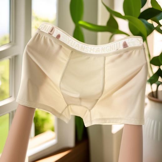 【善熙珍--男士100A高弹冰丝四角裤】面料亲肤柔软 吸湿透气丝滑超薄 U型立体囊袋设计 高弹减压强吸汗 不夹臀不勒腿不闷热 24小时健康呵护！ 商品图2