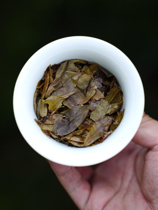 10月12日中午12点【懂过白茶】2022年春超级福利，再度来袭！！ 今天玩一波！懂过“白野甜”200克/饼 商品图4