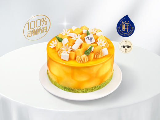 【夏屿之芒】冰淇淋/水果生日蛋糕 商品图0