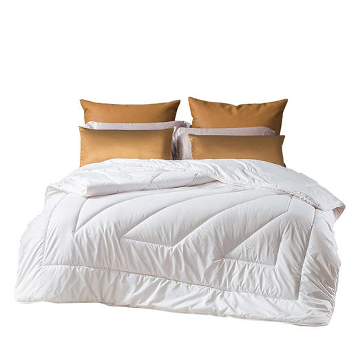 罗莱T 舒眠羊毛被(1500g)  200×230cm 商品图1