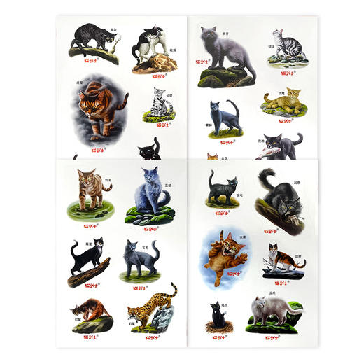 猫武士贴纸1套（4张） 商品图0