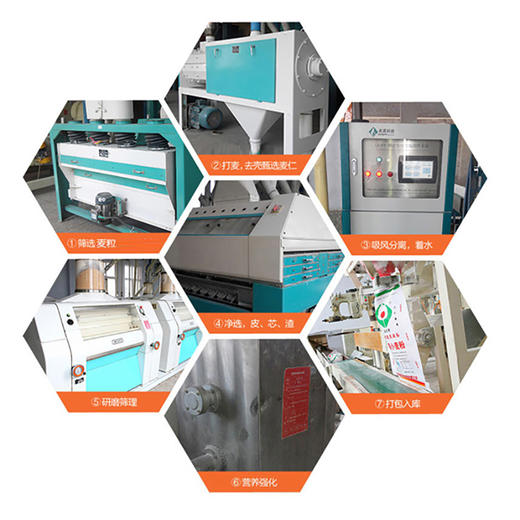 富世康 麦芯小麦粉2.5kg/袋 面粉多用途中筋粉 馒头包子饺子粉 商品图4