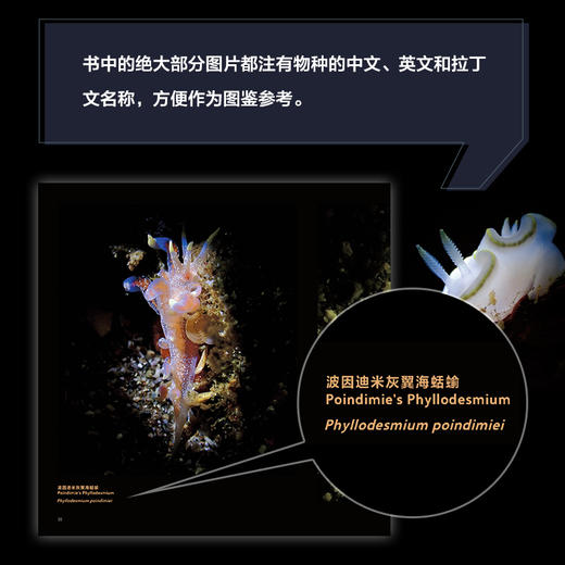 微海幻境 神秘海洋生物微观之旅 商品图4