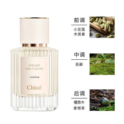 Chloe蔻依北国雪松 50ml浓香50ml   香港直邮 商品图5