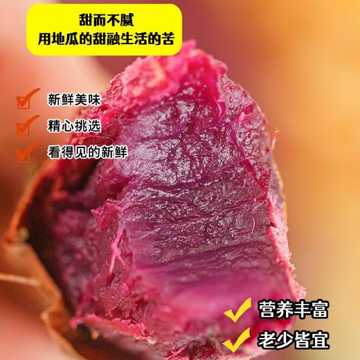云南高山蜜糖紫薯，肉质软糯香甜，无丝无筋，薯香浓郁，沙地种植自然生长，净重3斤基地直发 商品图1