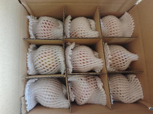 生态内蒙古草莓西红柿 | 合作生产*Eco- strawberry tomato | Coprodution 商品图4