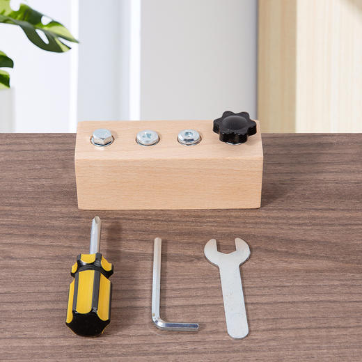 【螺丝玩具，培养认知！拧螺丝组合玩具~】蒙氏拧螺丝组合 幼儿园3到6岁 益智早教 组装拆卸工具 儿童忙碌板玩具-QB 商品图3